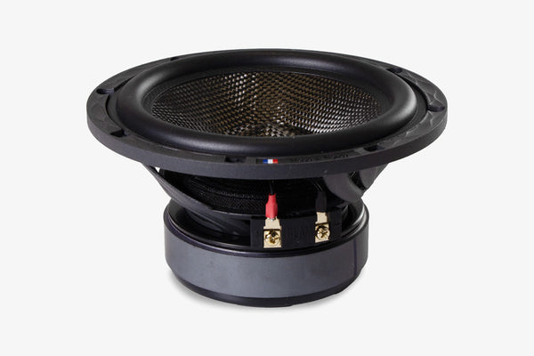 BLAM Signaure S 6.300 6 inch 2 ohm midbass driver - side view of cone and terminals