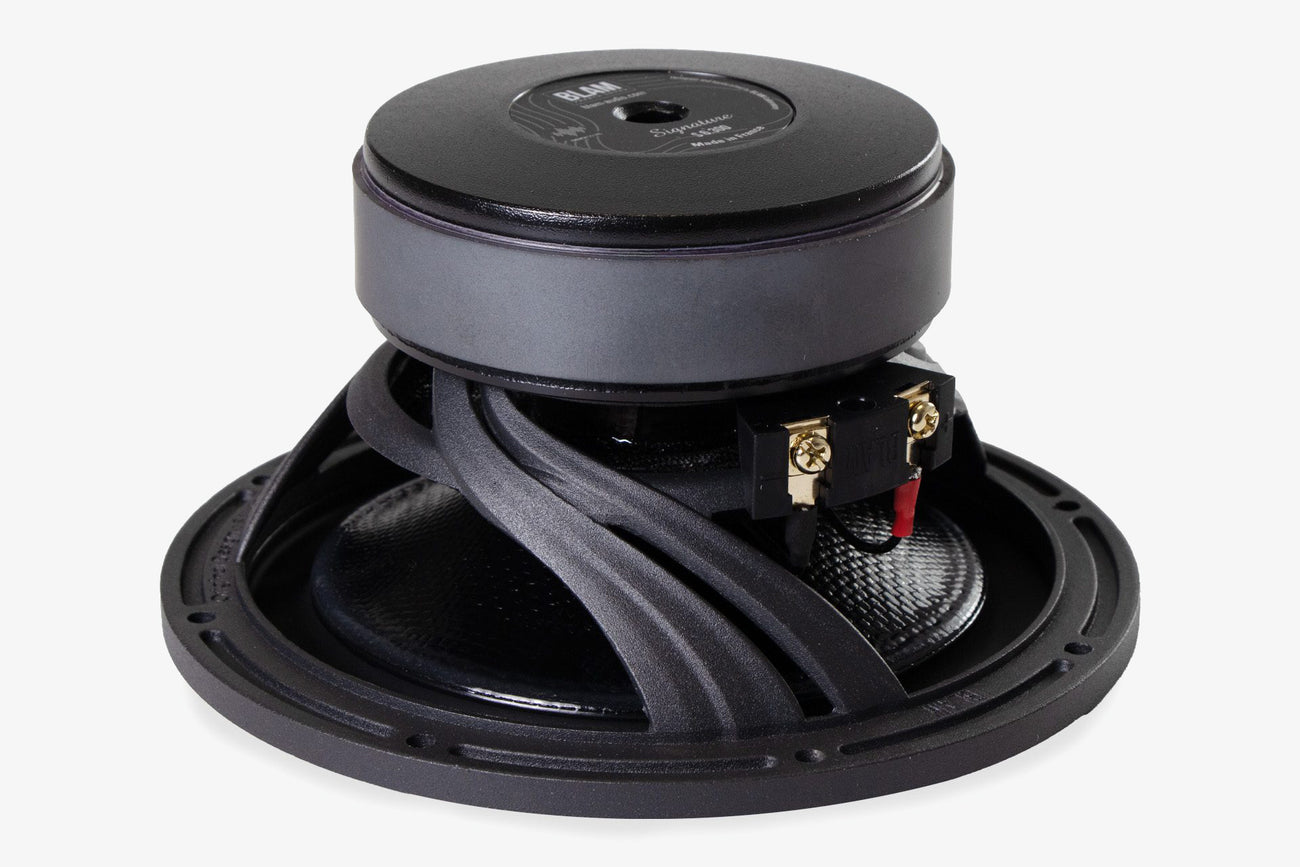 BLAM Signaure S 6.300 6 inch 2 ohm midbass driver - magnet, basket, and terminals shown
