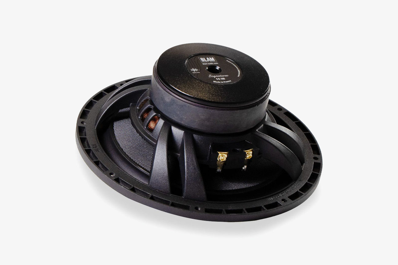 BLAM Signaure S 8.100 8 inch 2 ohm shallow midbass driver - rear magnet and basket