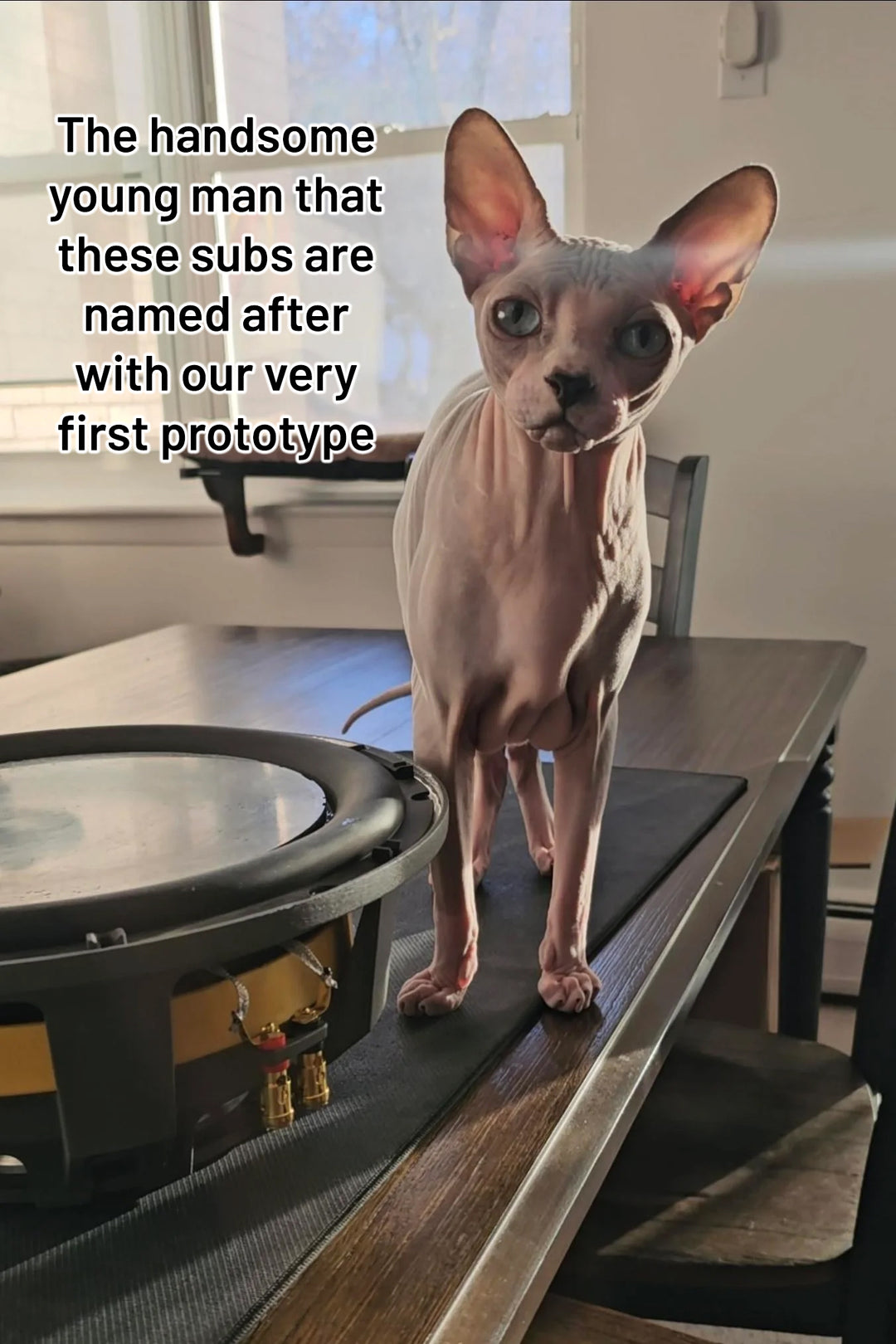 ResoNix GUS Series Shallow SQL Subwoofers