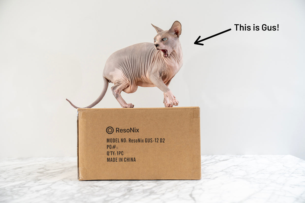 ResoNix GUS-12 Shallow Subwoofer