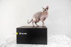 ResoNix GUS-15 Shallow Subwoofer