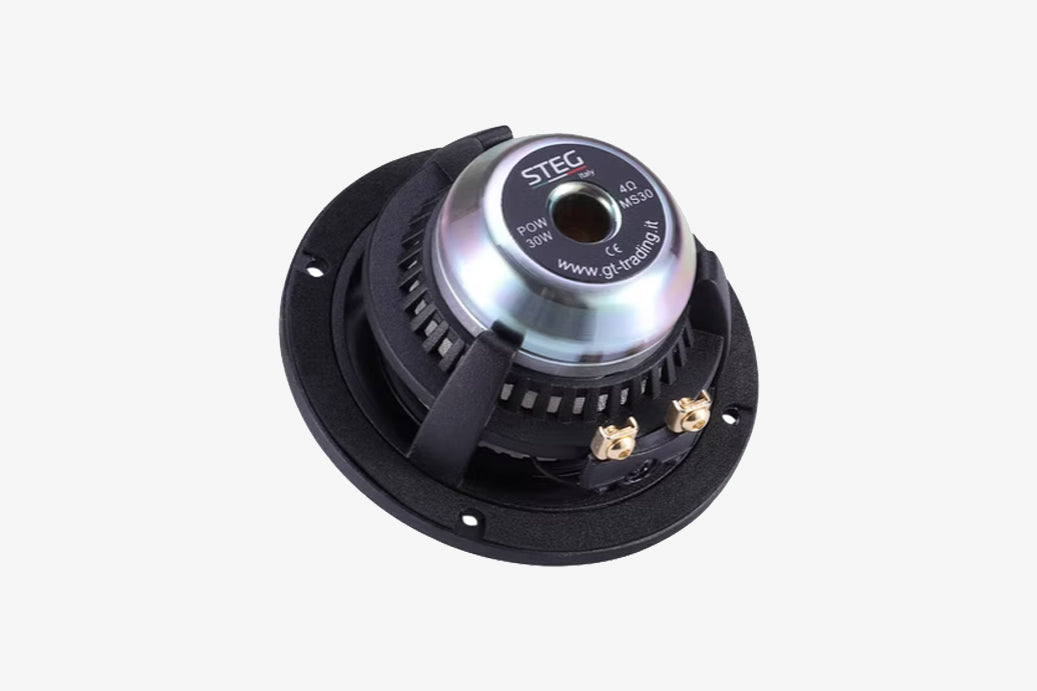 Steg Master Stroke MS30 3" wideband speaker rear