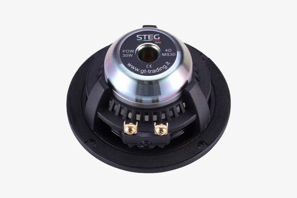 Steg Master Stroke MS30 3" wideband speaker rear
