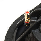 Close up photo of the Illusion Audio Carbon C12 input terminal