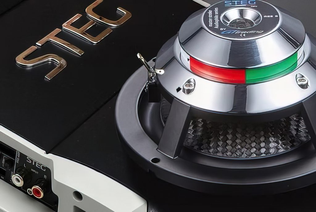 Steg Speaker and Amplifier